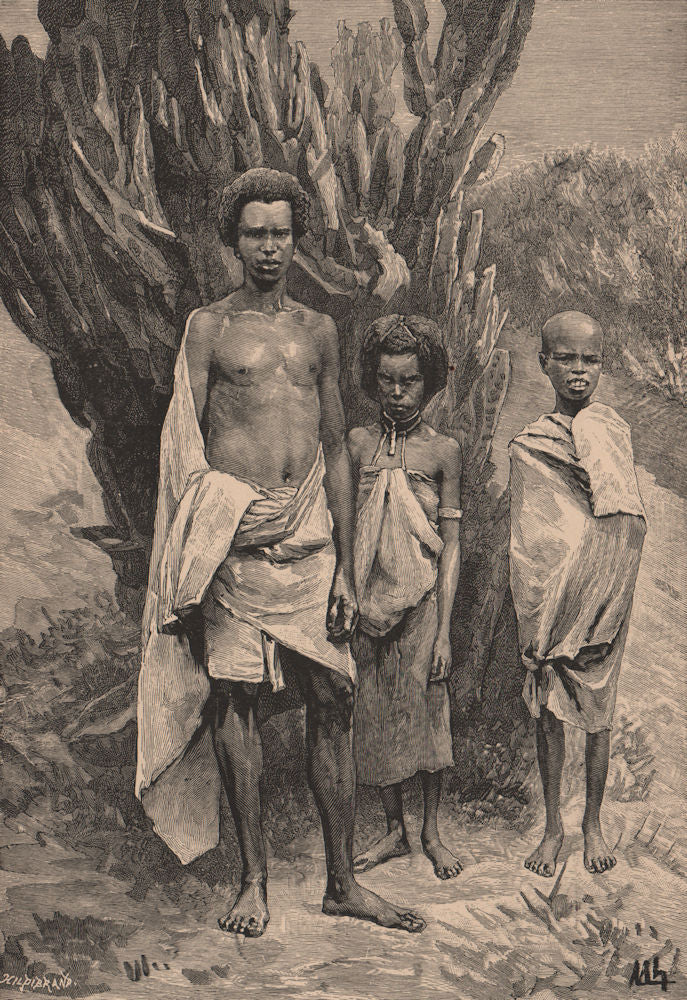 Galla people. Ethiopia 1885 old antique vintage print picture